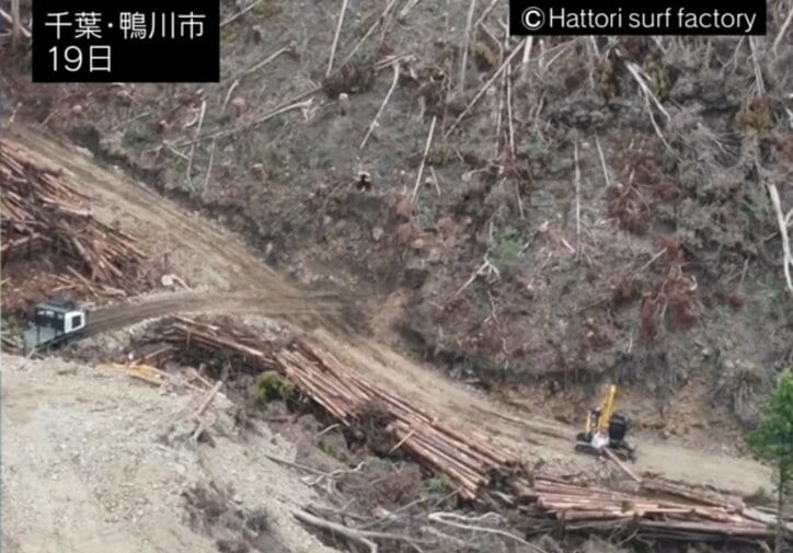 鴨川市のメガソーラー予定地