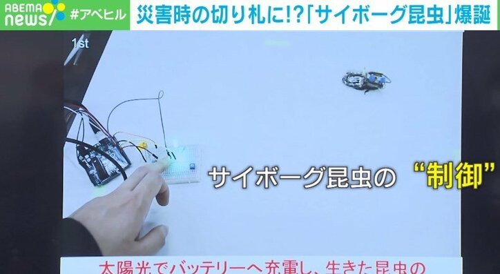 「サイボーグ昆虫」が命を救う 開発者が明かす“災害救助の未来”