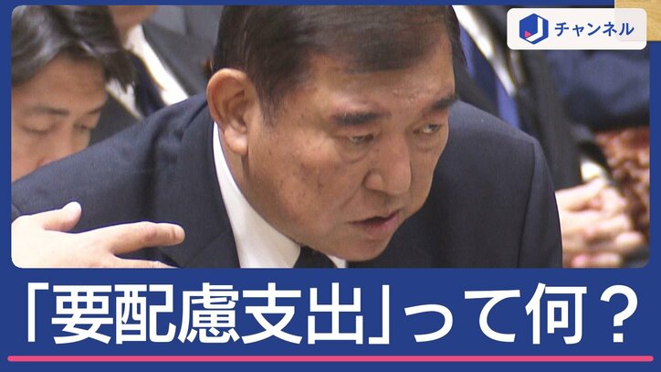 「要配慮支出」って何？　与野党が舌戦“抜け道”批判も