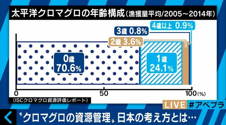 日本のマグロ漁業は「異常」　危険な状況が続く理由とは？