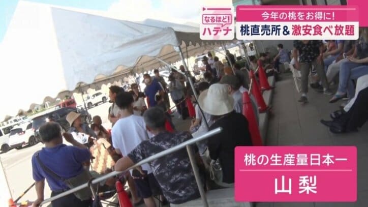 桃の生産量日本一を誇る山梨の「道の駅」