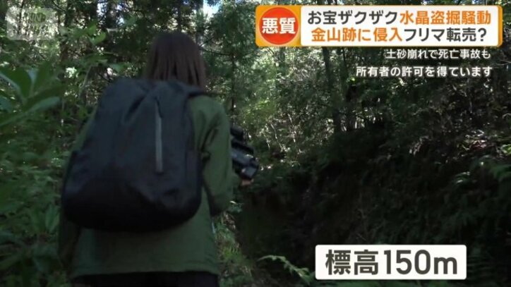 標高150メートルほどの小高い山