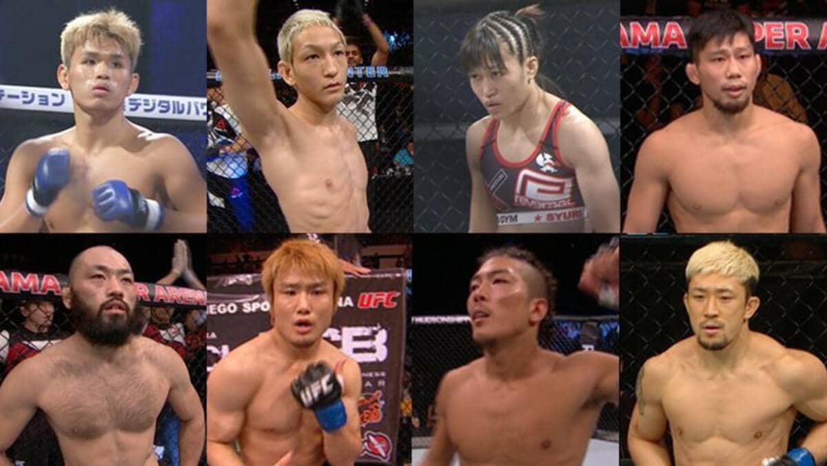 ufc 日本 人