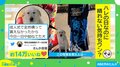 「一日中拗ねてた」成人式でかまってもらえなかった犬 写真撮影するも“露骨な表情”で「気持ちが表に出すぎ！」反響続々