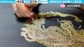 息を呑む美しさ…伝統工芸「金彩」の制作風景に「失敗できない一発勝負の世界…」「口開いたまま見入ってしまった」と感嘆の声