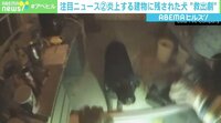炎上する建物から犬を救助