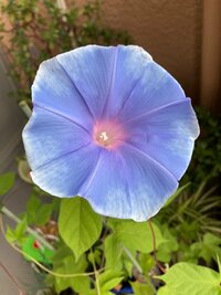 佐藤友美『不安な日常』