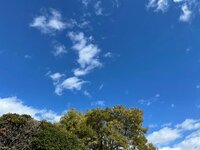 薬丸裕英『岡江さんのお墓参り』