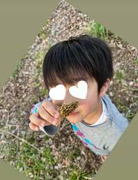 杉浦太陽『コアの見つけた』