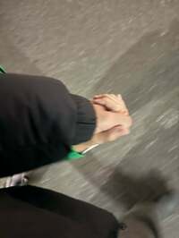 市川團十郎白猿『2025/01/08』