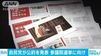 最新の政治ニュース【随時更新】 - - 自民党 「外...