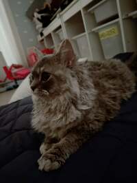 川崎希『マッサージ♡』