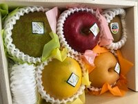 高橋真麻『ソレダメ！？』