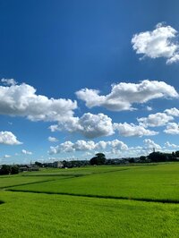 北斗晶『夏の空』