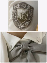 サクッ | 櫻坂46 菅井 友香 公式ブログ