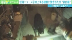 炎上する建物に取り残された犬 消防隊員のカメラが捉えた“救出劇”
