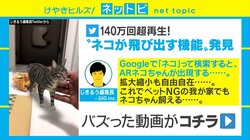 ペット禁止の部屋でも飼える！ リアルな動物が出現するGoogle検索のAR機能が話題