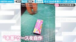 投稿者「ポイフルの本革ケース作って見た」←“驚きの完成品”に「シックなデザインなの凄く良い」「これで本体への傷を気にせずに持ち運べるわ～」