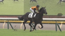 「強すぎる」大注目新馬が“舌出し”カメラ目線？ エフフォーリア産駒“一番星”圧巻レースにファン興奮「これは本物」