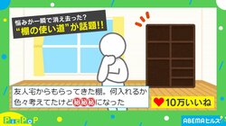 悩みが一瞬で消え去った？猫たちのおかげで解決した“棚の使い道”が「デザイニャーズニャンション」「影分身かと思っちゃった」と話題