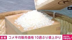 コメ平均販売価格 10週ぶり値上がり