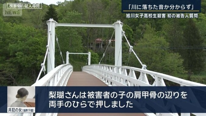 共犯の女