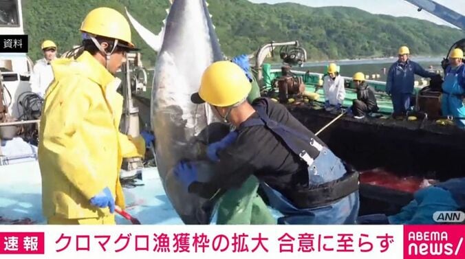 マグロ