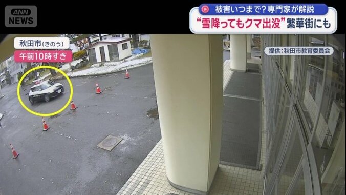 パトカーから逃げているのか