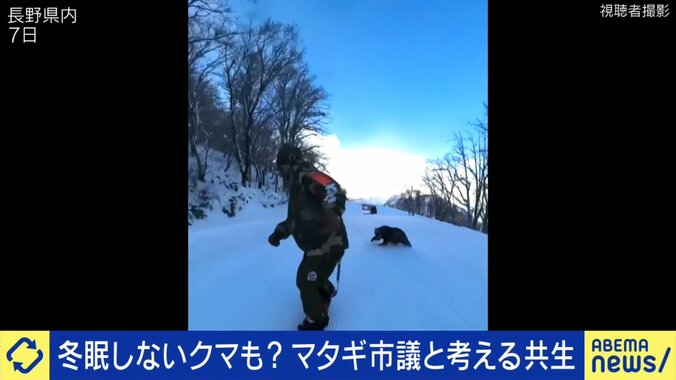 スキー場で人を猛然と追いかけるクマ