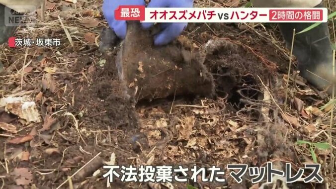 土の中に不法投棄されたマットレス