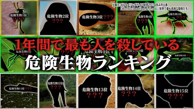 身近な生物も実は危険…！ 1年間で最も人を殺している危険生物ランキングベスト15 1枚目