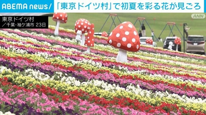 東京ドイツ村