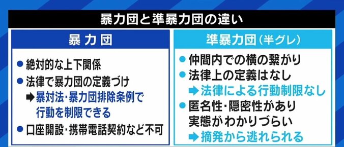 池袋の乱闘騒ぎに元刑事「警察にとってはチャンス」「違法行為は積極的に事件化する」 5枚目