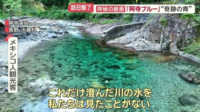 「想像以上で驚いた」