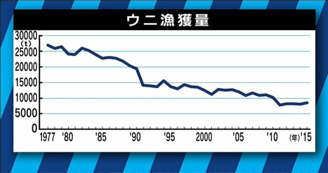 寿司屋からウニが消える？漁獲量を減少させる「磯焼け」とは 2枚目