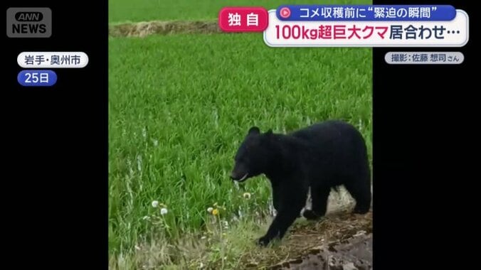 農作業中にクマと遭遇