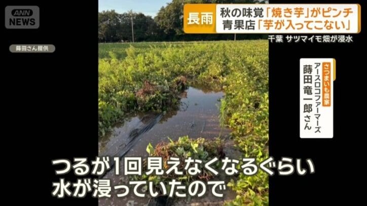 他の農作物なども含めると、現時点での被害額は700万円ほど