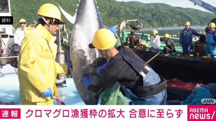 マグロ