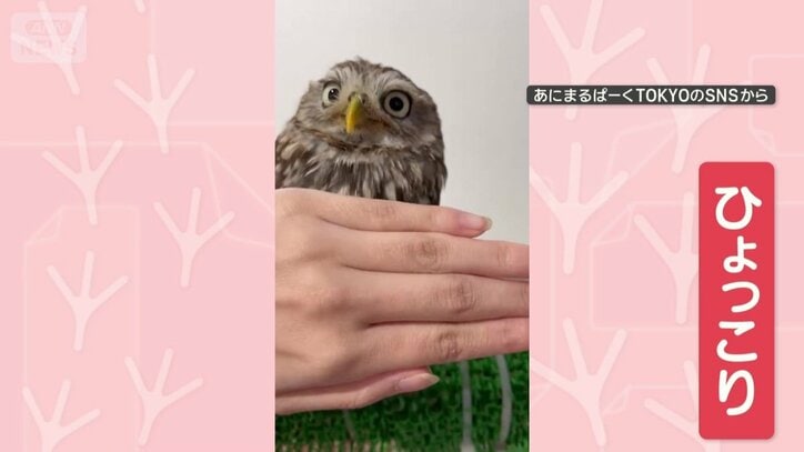 今度は上から！