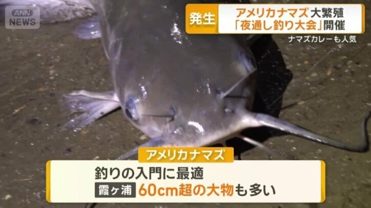 釣りの入門に最適
