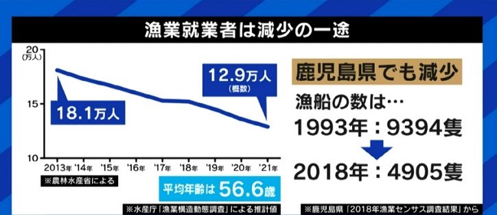 せっかく獲れたクロマグロを海に戻さなければならない現実…専門家「漁獲量の安定のため、今はまだ我慢しなければならない」