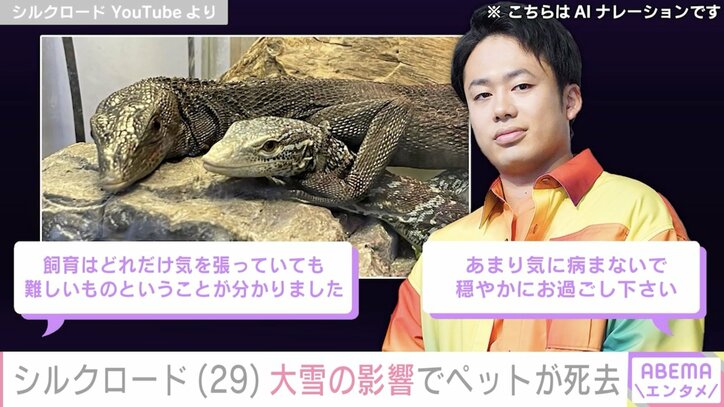 【写真・画像】第1子妊娠中のゆん、夫・シルクロードにすっぴんで愛妻弁当作り「シルクくんは幸せですね」ファン絶賛　2枚目