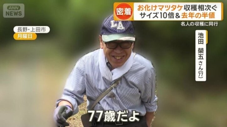 上田のマツタケ名人