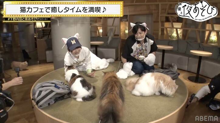 猫カフェでデレデレの下野紘＆内田真礼が猫とお友達になれるかバトル勃発!?『声優と夜あそび』