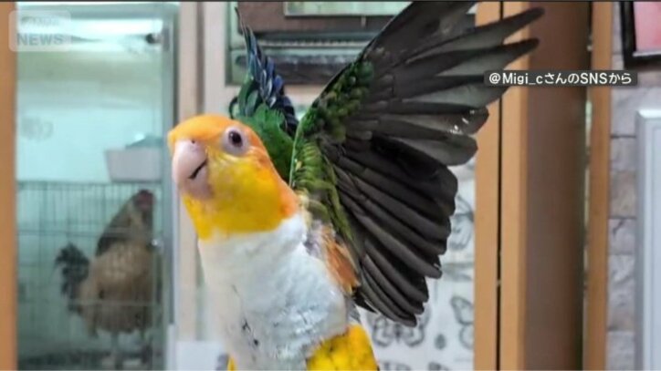 拍手をもらって決めポーズ