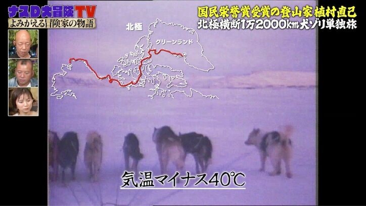 北極横断1万2000km犬ゾリ単独旅を行った冒険家・植村直己さん秘話　犬との絆感じるストーリーに「心底感動」「凄すぎて泣いちゃう」視聴者反響 4枚目