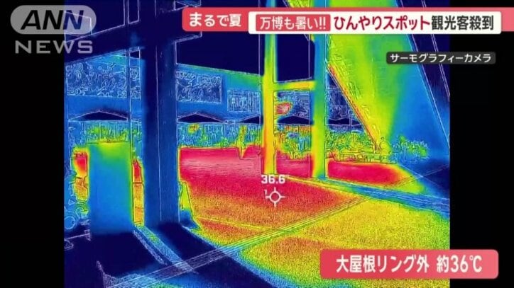 リングの外