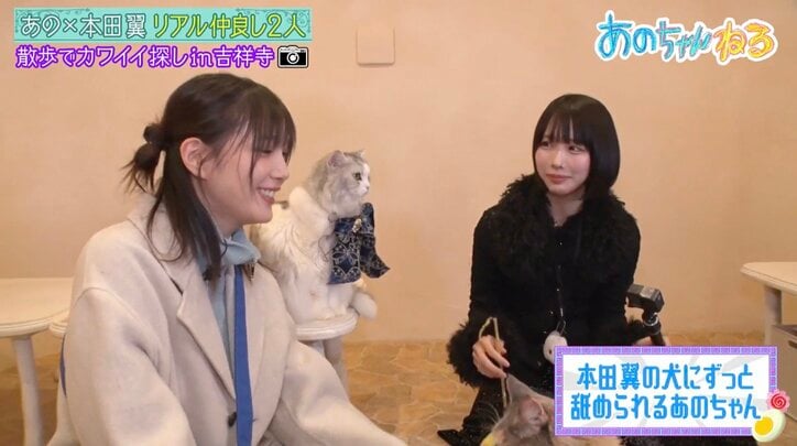 【写真・画像】あのちゃん、本田翼の愛犬に「ずっと舐められる」　1枚目
