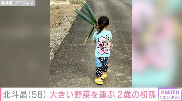 北斗晶の2歳の初孫・寿々ちゃん