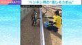 ペンギン版“流しそうめん”→流れてくるアジを追う姿に「面白いですね」「頑張れ」とほっこりの声